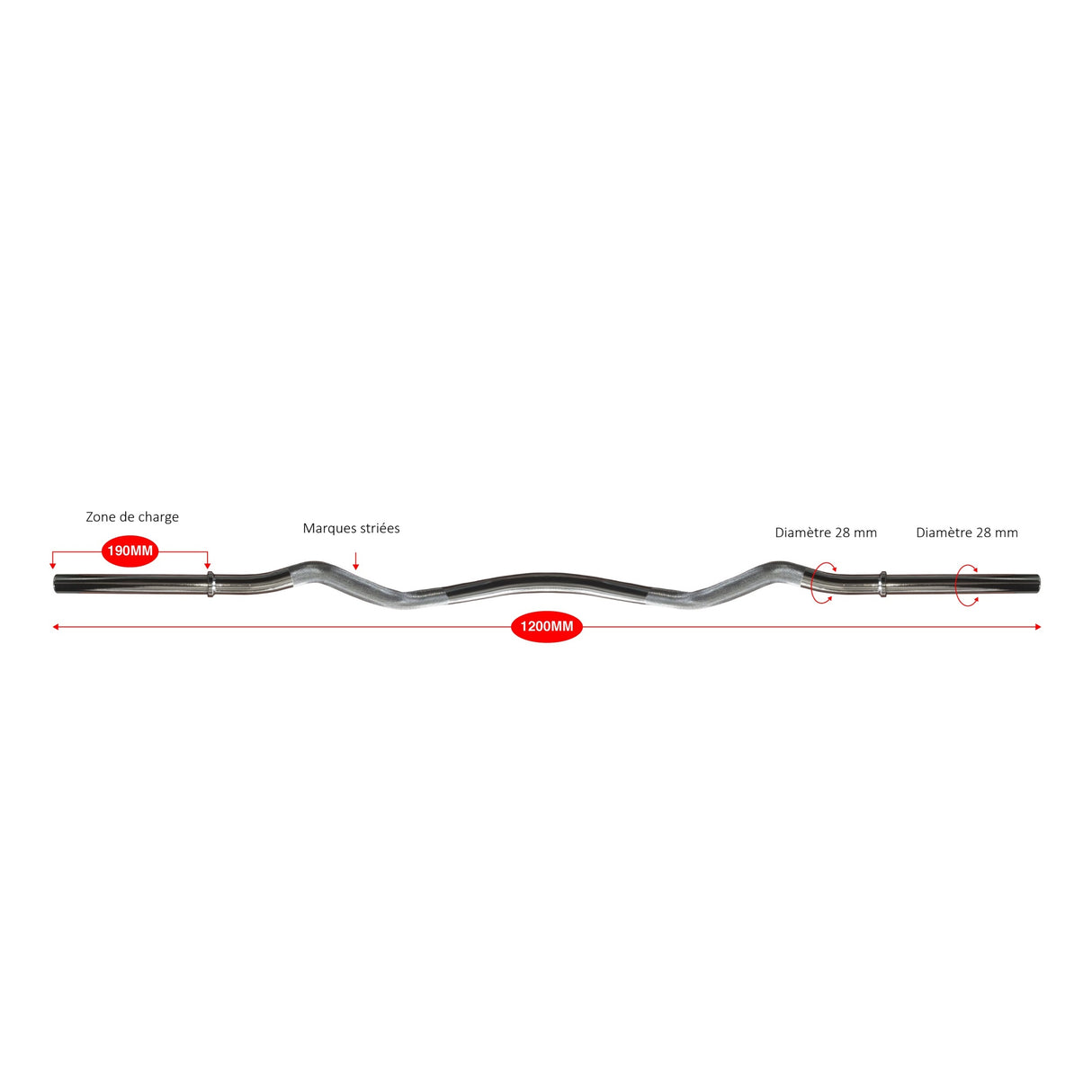 Barre curl EZ standard