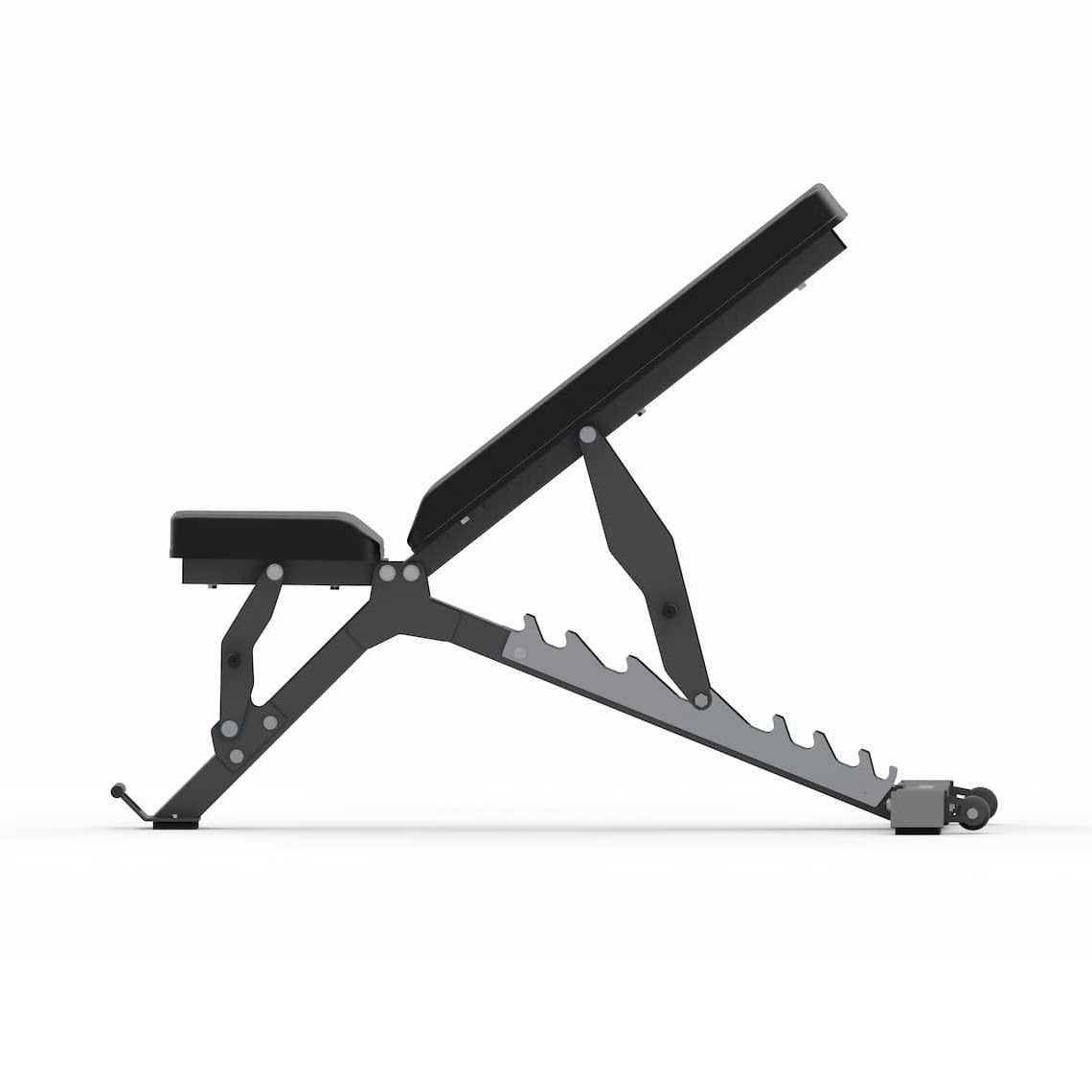 Performer Pro