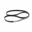 Courroie 1609 PJ MOOVYOO - FitnessBoutique