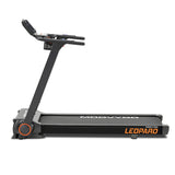 Léopard Reconditionné