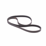 Courroie MOOVYOO - FitnessBoutique